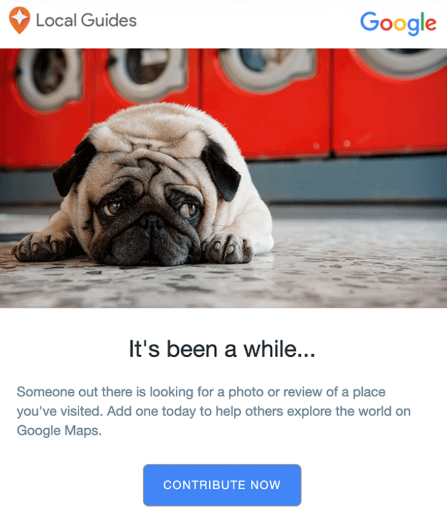Google Local Guides win back email example